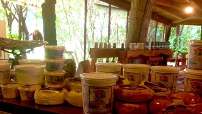 Productos de Tiendita Verde, imagen del archivo de Experiencia Pátzcuaro